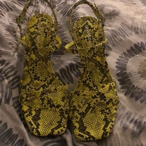 Lime green snake skin